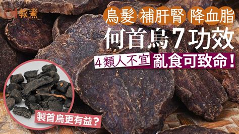 人參何首烏功效|何首烏 的功效與作用有哪些？完整解析！